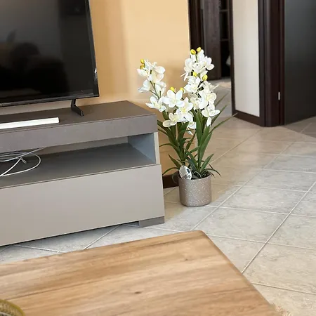 Casa Mario, In The Heart Of Apartment Asti