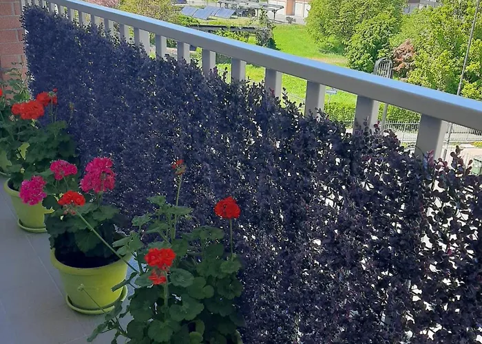 Casa Mario, In The Heart Of * Asti